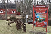 duck farm
