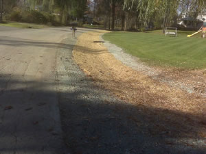 ditch 1