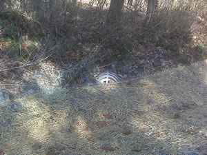 ditch 4