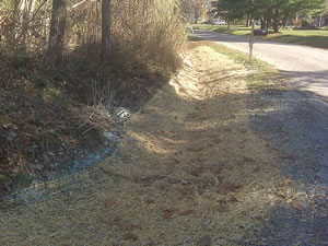 ditch 5